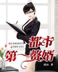 第一赘婿顶点