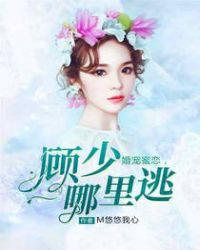 婚婚蜜爱顾少的暖婚妻