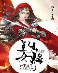 复仇女将电视剧