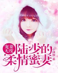 宠妻无度陆少的第一甜妻全文免费阅读5月19日