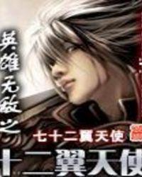 英雄无敌之十二翼天使无错版