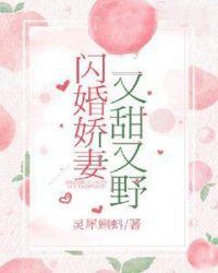 闪婚娇妻甜又野短剧免费阅读全文最新章节