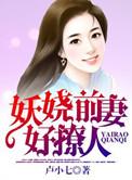 前妻太撩人电视剧全集