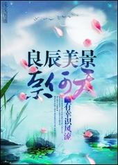 良辰美景又逢君 电视剧