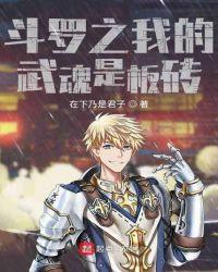 斗罗武魂九彩板砖的