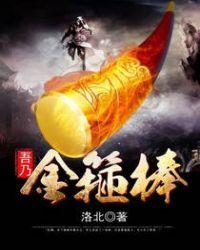 吾乃金箍棒故事