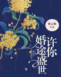 许你一世盛宠爱免费阅读