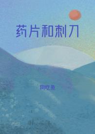 药片和刺刀po18文