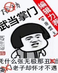 武当掌门人电影