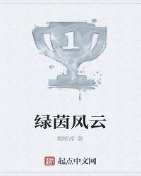 绿茵风云游戏