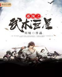 武术巨星顶点