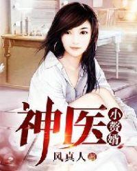 神医赘婿笔趣阁