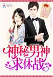神秘男神求休战TXT全集免费