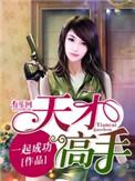 天才高手在都市百科