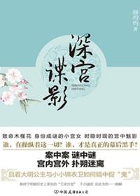 深宫谍影 解析