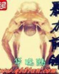 体坛之暴力大前锋