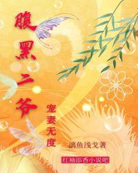 辰少宠妻请低调全文免费阅读