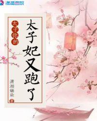 太子妃又跑了了全文免费
