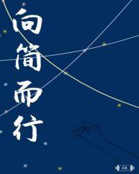 向简而行by