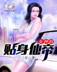 女神的贴身高手神帝去哪了
