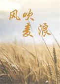 风吹麦浪的歌词