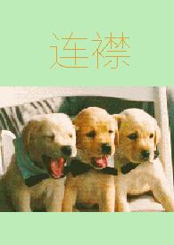 连襟(人格分裂1v3 h)作者吴悠