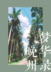 晚州梦华录梦华录