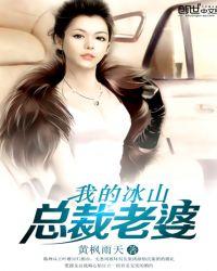 我的冰山总裁老婆陆尘李青瑶