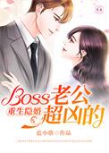 隐婚boss老公