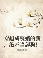 穿成赘婿文的女主