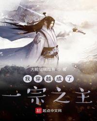 我穿越成了一宗之主读后感