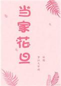 当家花旦美国电影免费观看