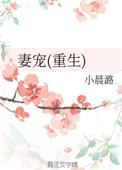 妻宠重生by小晨潞