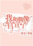 我和偶像官宣了全文免费阅读莳文