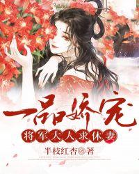 一品将军夫人全文免费阅读