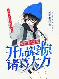 爱情公寓开局震惊诸葛大力txt