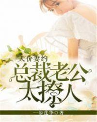 总裁天价宠妻全文免费阅读