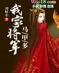 马甲将军是谁