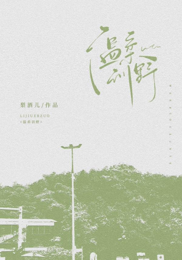 温柔野骨完结了吗