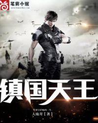 镇国天王全集txt