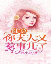 陆总夫人又逃婚了