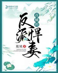 首辅的反派悍妻TXT资源