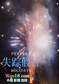 失踪假日简介
