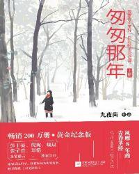 匆匆那年书籍简介