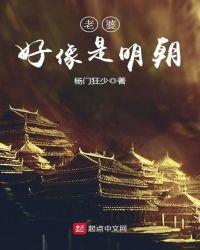 好像是明朝皇上