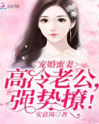 高冷老公宠到底免费