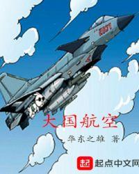 法国空乘1满天星