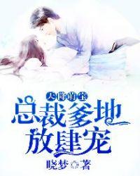 天降萌宝总裁爹地放肆宠免费全本免