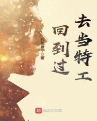 回到过去当特工txt八零