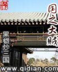 国之大贼免费